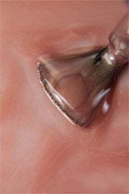 Гель-лак Lakres Blossom Cat eye 3, 5 мл 2000000067933