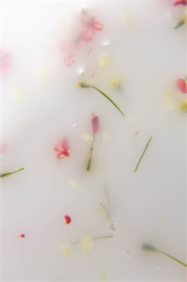 Гель Lakres Modeling Gel Flora Delicate 1, 15 мл 2000000075846