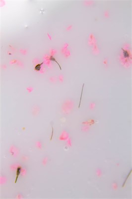 Гель Lakres Modeling Gel Flora Delicate 2, 15 мл 2000000075853