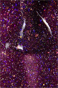 Гель- лак ILLUSION Aurora 4, 5 мл  (светоражаюший) 104028