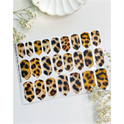 T144 ПЛЕНКИ 2000000024028