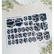 T177 ПЛЕНКИ 2000000024103