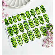 T295 ПЛЕНКИ 2000000024226