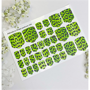 T344 ПЛЕНКИ 2000000024288