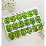 T393 ПЛЕНКИ 2000000024387