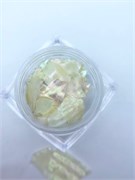 Ракушечник в баночке 1 шт, белый 2060471962090