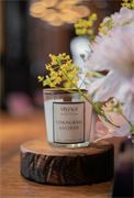 Спа-свеча Vintage Home, Lemongrass&Vetiver 200 мл 2000000028163