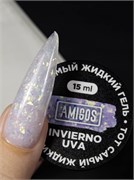 Жидкий гель Амигос INVIERNO UVA, 15 мл 4673754402343