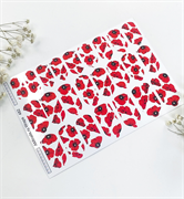 T482 ПЛЕНКИ 2000000029528