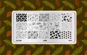 -30% Пластина для стемпинга Go! Stamp 241 Acorn 2546131605502