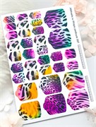 T597 Пленки 2000000040103