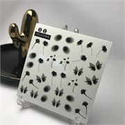 SN- Слайдер №51 2041163610468