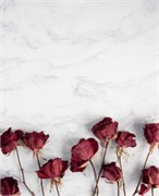 Фотофон  fn107 2041510743191