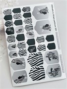 T583 Пленки 2000000040127