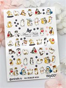 Слайдер AmiNails wp0084 2000000039985