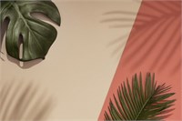 Фотофон  fn102 2094113763226
