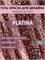Гель краска Platina Rose , 5 г 2077764084377