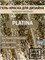 Гель краска Platina Gold , 5 г 2072730465310