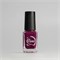 SALE Лак для стемпинга Swanky Stamping S33, винный 6 мл.4 4603745693467