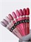 Гель-лакNail Republic-214 Rose garden , Малиновый 10 мл 4650428661046