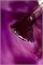 Гель-лак Lakres Grape Cat Eye, 5 ml 2000000056531