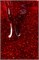 Гель-лак Lakres, Xmas 2, 9 ml 2000000033907