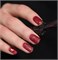 Гель-лак Monami Phoenix 8г 4673736371186
