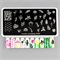 -30% Пластина Swanky Stamping 049 4603745691647