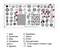 Пластина Swanky Stamping 113 4603745697779
