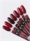 Nail Republic-169 Passion гель-лак, Бисмарк-фуриоза 10 мл (ЧЗ) 4630352403349